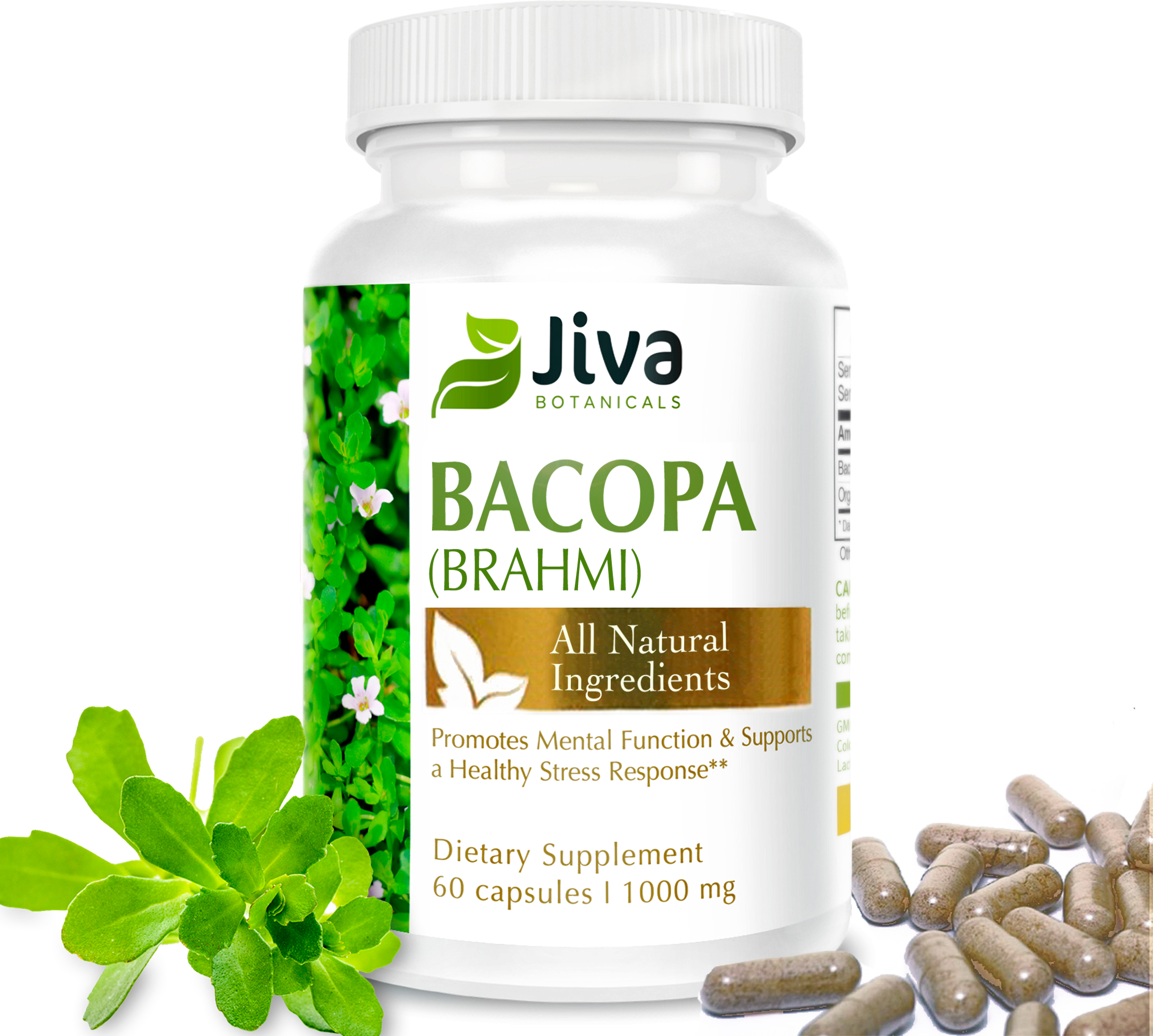 Bacopa Supplements