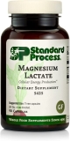 Standard Process Magnesium Lactate - 90 Adet