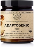 Amina Mundi Organic Mushroom Supplement Powder with Cacao Lion s Mane, Chaga, Shiitake 4oz Anima Mundi