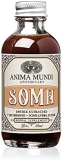 Anima Mundi Soma 7 Mushroom Elixir Tincture Adaptogenic Liquid Extract for Immune Support, 2oz